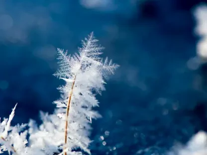 Are New York Workplaces Ready for Early Winter Chill?